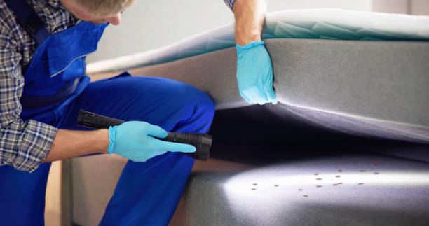 Best Pest Control Near Me  in Veedersburg, IN