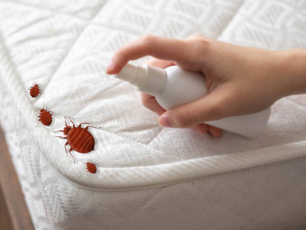 Best Pest Inspection Near Me  in Veedersburg, IN