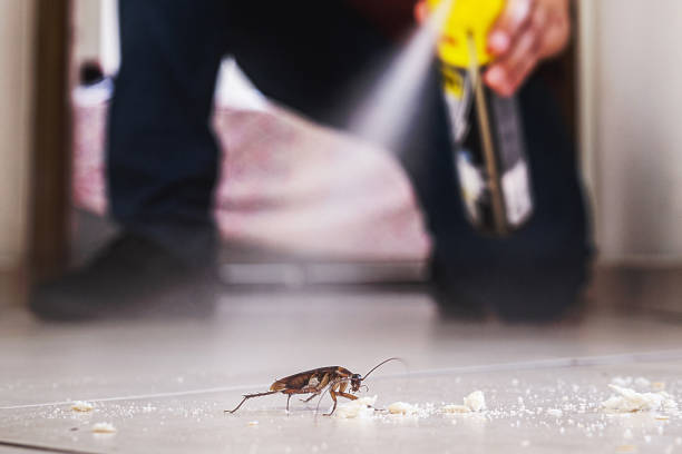 Best Emergency Pest Control  in Veedersburg, IN