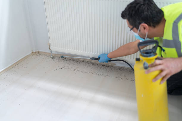 Best Pest Control for Homes  in Veedersburg, IN