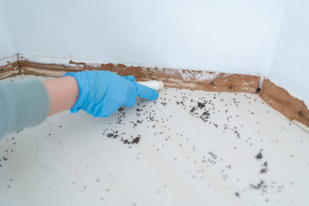 Pest Control Cost in Veedersburg, IN